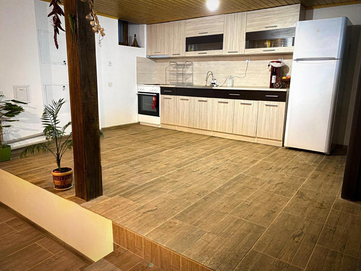 הוילה אלנה Старият Дюкянь מראה חיצוני תמונה